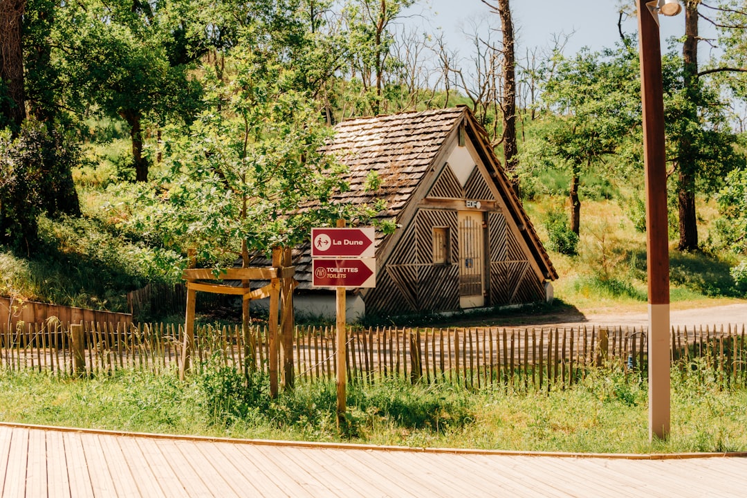 Foret et hebergement bois dans les Ardennes belges pour des vacances famille